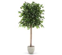 Maia Shop Ficus Artificiel 185 cm - Faux Arbre Décoratif d'Intérieur