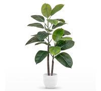 Maia Shop | Ficus Artificiel | Ficus Elastica | Plantes Artificielles Interieur | Plante Artificielle | Mesures: 90 x 55 cm | Caoutchouc | Fausse Plante | Decoration Maison