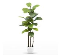 Maia Shop Ficus Elastica Artificiel 120 cm - Faux Arbre d'Intérieur