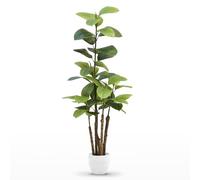 Maia Shop Ficus Elastica Artificiel 150 cm - Faux Arbre d'Intérieur