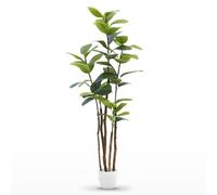 Maia Shop Ficus Elastica Artificiel 180 cm - Faux Arbre d'Intérieur