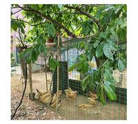 Maille de 6x6cm Grillage à poules Grillage soudé plastifié (PVC) Clôture pour potager Barrière de protection (animaux) Idéal pour le bricolage Livré avec une pince coupante(2.1mm,1.2x30m)