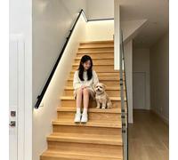Main Courante D'escalier À LED Avec Détecteur De Mouvement, Main Courante Lumineuse En Aluminium Pour Escaliers Et Couloirs(Left,80cm/2.62ft)