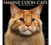 Maine Coon Cats 2026 12 X 12 Wall Calendar