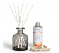 MAISON BERGER Bouquet parfumé Aroma Energy
