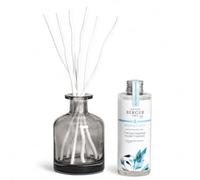 MAISON BERGER Bouquet Parfumé Aroma Happy Fraîcheur Aquatique 180 ML | Bouquet parfumé Aroma Happy, verre gris 180 ml, 6 brins, diffusion passive sans flamme, aide à neutraliser les odeurs