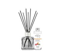 MAISON BERGER Bouquet Parfumé Baies de Goji Glaçon Transparent, 100 ml | Coffret complet : flacon en verre transparent, 6 bâtonnets et recharge Baies de Goji 100 ml