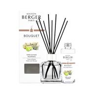 MAISON BERGER - Bouquet Parfumé - Diffuseur Parfum Maison - Terre Sauvage - Modèle Glaçon Transparent - 6 Bâtonnets Noirs - 21 cm - Recharge 100 ML - Diffusion 4 à 6 Semaines - Fabriqué en France