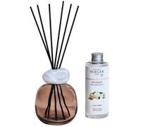 MAISON BERGER Bouquet Parfumé Minéral Prune Lady Flower 180 ML | Bouquet parfumé Lady Flower en verre laqué prune, 180 ml avec 6 brins, diffusion environ 6 semaines