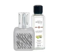 Maison Berger Coffret Cadeau Glaçon - Diffuseur de Parfum d’Ambiance 250 ML - Élimine Les odeurs, purifie l’air, Objet décoratif Maison ou Bureau (Zebra - Terre Sauvage)