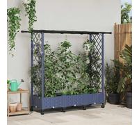 Maison Exclusive - Jardinière surélevée avec treillis et toit, couleur gris, 164 x 40 x 127 cm, en plastique PP