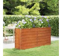 Maison Exclusive - Jardinière surélevée Rostig 160 x 40 x 77 cm en acier Corten