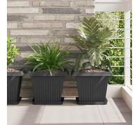 Maison Exclusive - Lot de 6 pots carrés pour plantes, couleur noire, dimensions : 33 x 33 x 26 cm