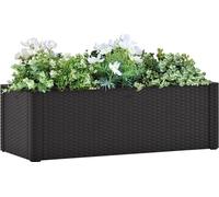 Maison Exclusive - Potager surélevé avec système d'arrosage automatique, anthracite, 100 x 43 x 33 cm