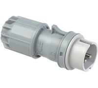 Mâle CEE 32 A 2 pôles PCE Twist 092-12v 42 V blanc, gris 1 pc(s)