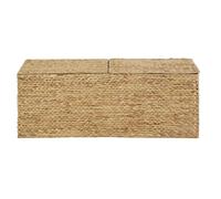 Malle avec couvercle en jacinthe d'eau beige 110x43.5x36.5cm Beige