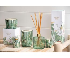 Manahee Design | Bougie parfumée cire multicolore | Evergreen & Silver Birch | 28 cm x 9 cm x 6.5 cm
