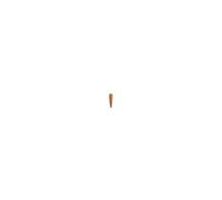 Manche bois verni pour lime et râpe 28x110mm - - MAN.2