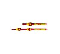- Manche Télescopique 4 M (2 X 2 M) Pour Echenilloir