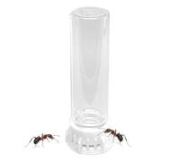 Mangeoire transparente pour fourmis - Station d'alimentation d'eau étanche, construction robuste antidérapante, bouteille transparente | Accessoire de nid pour animaux de compagnie pour les fourmis et