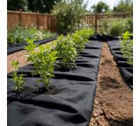 Mangloder Geotextile non tissé, noir, 1 x 50 m, en fibre de polyester, 150 g/m², perméable à l'eau et indéchirable, pour jardin, parterres surélevés, terrasse, chemins et parterres de graviers comme