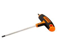 Mango En T Torx 40X200