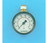 Manomètre pour filtre à diatomée Hayward