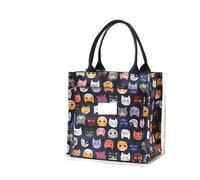 MAQDDO 1pcs Cute Bento Bag, Large-capacity Handbag For Office Workers, Insulated And Fresh-keeping Pour Travail(Color 6)