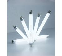 MARAN BULBS Lot de 5 tubes fluorescents T5 | Culot G5 Bi-Pin | Puissance 8 W | Couleur de lumière 6 500 K | Flux lumineux 400 lm | Dimensions 288 x 16 mm | Durabilité 8 000 h