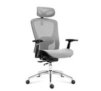 MARK ADLER Expert 5.3 Fauteuil Ergonomique, Dossier Respirant, Gris