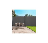 IDMarket - Paravent extérieur rétractable Double 160 x 800 CM Gris Anthracite Store latéral