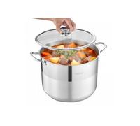 Marmite Acier Inoxydable 15,1 L, Compatible Gaz Électrique Induction, Couvercle Verre, sans PFOA/PFAS, pour Bouillons Pâtes