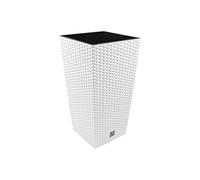 Marmite Rato 16,3 litres avec Insert 22,5 x 22,5 x 42 cm en Blanc