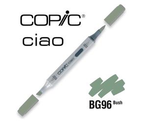 Marqueur À L'alcool Copic Ciao Bg96 Bush