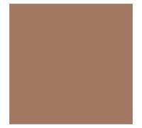 Marron Liege 133 / 847 Pot De Peinture Acrylique 17ml - Prince August