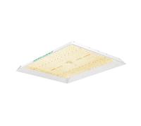 Mars Hydro TSW 2000 - LED élèvent la lumière hydroponique à spectre complet - 300W - pour plantes d'intérieur