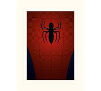 Marvel Comics LMP11196P Image avec Passe-Partout, Multicolore, 30 x 40 x 0,5 cm