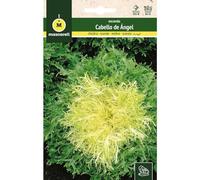 Mascarell Graines, escarola, graines de potager, écarole bou cheveux d'ange, créez votre propre potager urbain et culture à la maison, plantes horticoles, 8 g
