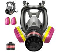 Masque à gaz complet pour la survie nu ire et chimique - Masque respiratoire complet avec filtres 60923 et filtres de 40 mm contre la poussière, les vapeurs organiques, les gaz à peindre, les