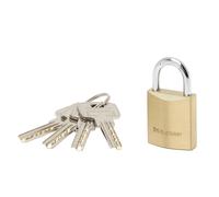 Master Lock 2930EURD Cadenas xtra Fin en Laiton, Doré, 5,4 x 3 x 1,4 cm
