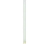 MASTER PL-L 55W8404P 1CT25 2G11 MASTER PL-L 4 PIN 55 W