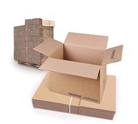 Master'in Caisse carton double cannelure - Brune- 310x220x200mm - 15 lots de 15 caisses