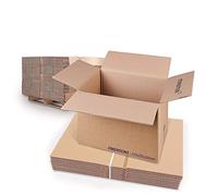 Master'in Caisse carton double cannelure - Brune - 310x220x200mm - 20 lots de 15 caisses