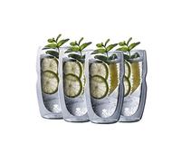 MasterPRO Mixology - Jeu de 4 verres à liqueur 50ml - Fabriqués en Borosilicate double paroi - Finition transparente - Convient de -20º à 200º - Lavable au lave-vaisselle
