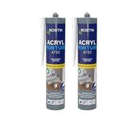 Mastic Acrylique Acryl Peinture-Cartouche De 310 Ml (Lot De 2)