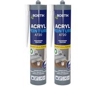 Mastic Acrylique Acryl Peinture - Cartouche de 310 Ml (Lot de 2)