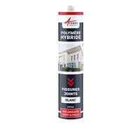 Mastic d'Étanchéité, Joint Extérieur, Fissure, Façade 290 ml x 1 Blanc | Rebouche les Fissures, Joints et Collage Étanches, Adhère sur Béton, Pierre, Bois et Métal, Int/Ext - Arcane Industries