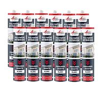 Mastic d'Étanchéité, Joint Extérieur, Fissure, Façade 290 ml x 12 Blanc | Rebouche les Fissures, Joints et Collage Étanches, Adhère sur Béton, Pierre, Bois et Métal, Int/Ext - Arcane Industries
