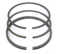 Matijardin - Jeu de segments pour moteur adaptable compatible avec Briggs & Stratton N° 391 780