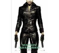 MATRIX - 68,5x98 cm - AFFICHE / POSTER G